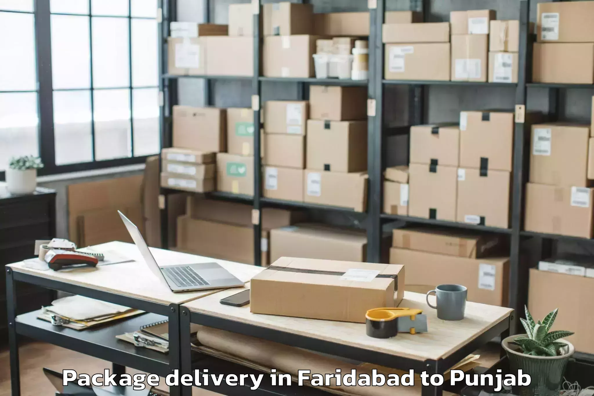 Trusted Faridabad to Mehta Chowk Package Delivery